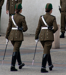 guards at santiago presidents palace 17055-guards-at-santiago-presidents-palace.jpg