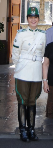 guards at santiago presidents palace 17056-guards-at-santiago-presidents-palace.jpg