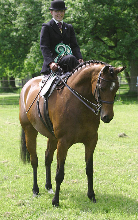 side saddle 1710-side-saddle.jpg