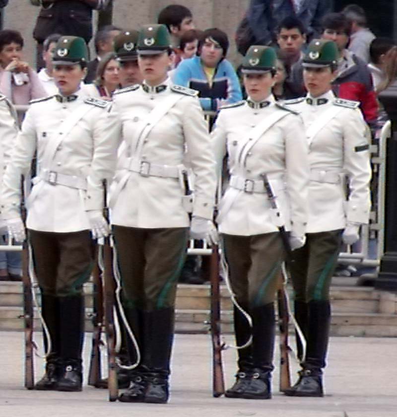 Re: guards at santiago presidents palace 17306-re--guards-at-santiago-presidents-palace.jpg