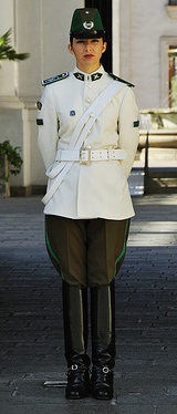 Re: guards at santiago presidents palace 17307-re--guards-at-santiago-presidents-palace.jpg