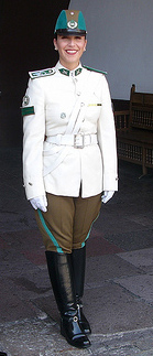 Re: guards at santiago presidents palace 17308-re--guards-at-santiago-presidents-palace.jpg