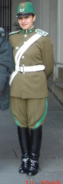 Re: guards at santiago presidents palace 17309-re--guards-at-santiago-presidents-palace.jpg