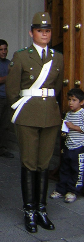 Re: guards at santiago presidents palace 17310-re--guards-at-santiago-presidents-palace.jpg