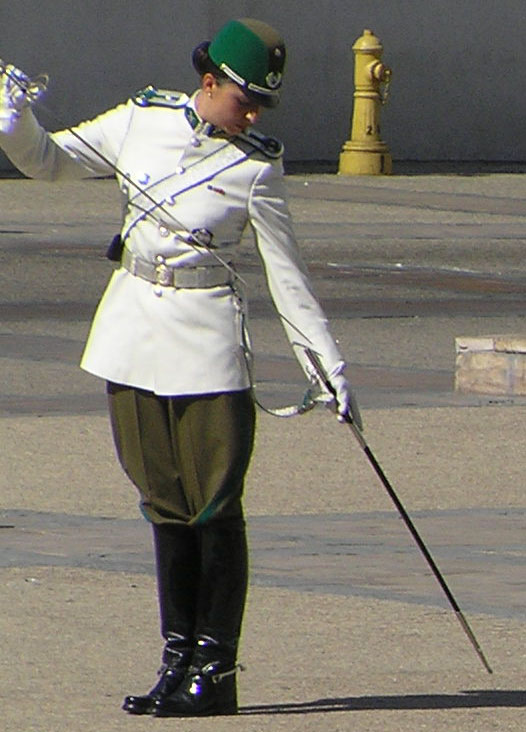 Re: guards at santiago presidents palace 17311-re--guards-at-santiago-presidents-palace.jpg