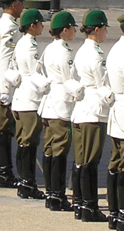 Re: guards at santiago presidents palace 17312-re--guards-at-santiago-presidents-palace.jpg