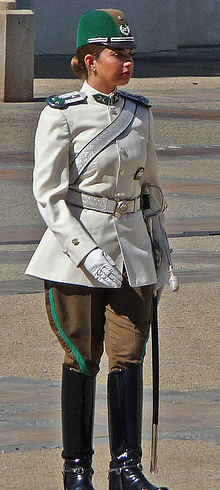 Re: guards at santiago presidents palace 17313-re--guards-at-santiago-presidents-palace.jpg