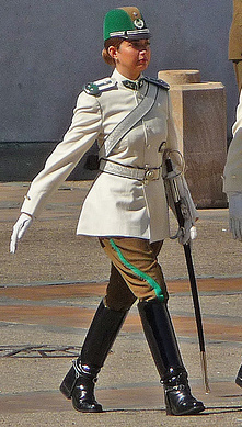 Re: guards at santiago presidents palace 17314-re--guards-at-santiago-presidents-palace.jpg