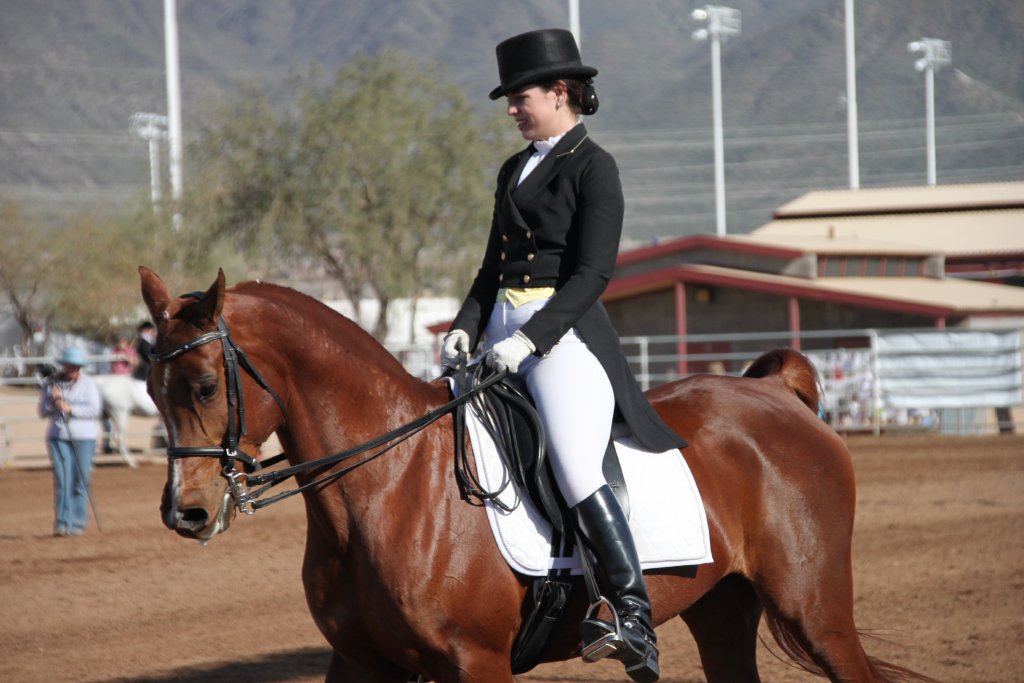 love dressage 17322-love-dressage.jpg