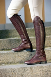 New Boots 17379-new-boots.jpg