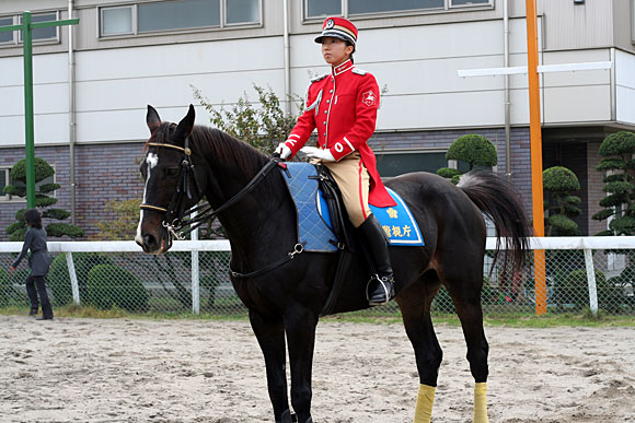 Tokyo mounties 17426-tokyo-mounties.jpg