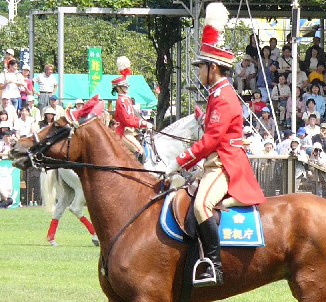 Tokyo mounties 17427-tokyo-mounties.jpg