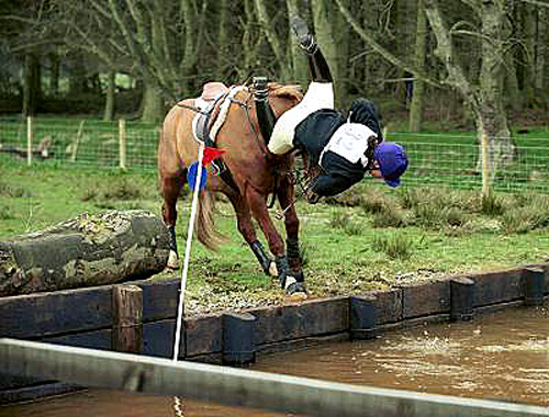 Bath time 1743-bath-time.jpg