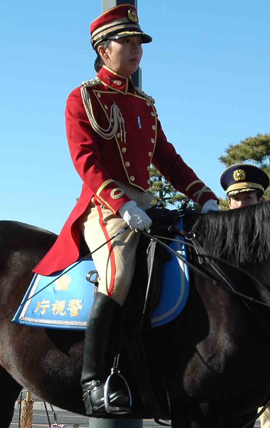 Re: Tokyo mounties 17431-re--tokyo-mounties.jpg