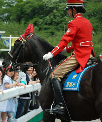 Re: Tokyo mounties 17437-re--tokyo-mounties.jpg