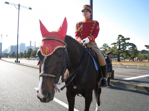 Re: Tokyo mounties 17438-re--tokyo-mounties.jpg