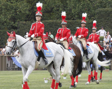 Re: Tokyo mounties 17439-re--tokyo-mounties.jpg