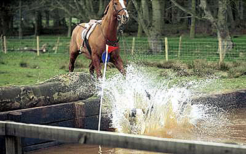 Bath time 1745-bath-time.jpg