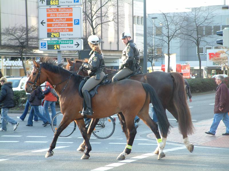 mounted female cop 17531-mounted-female-cop.jpg