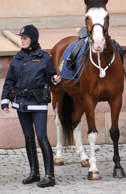 stockholm mounted 17594-stockholm-mounted.jpg