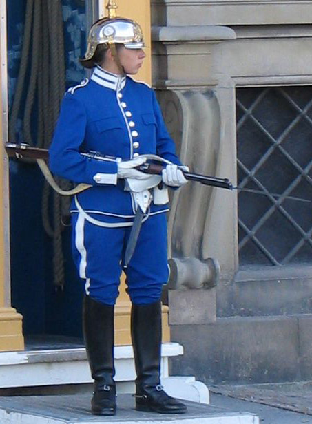 stockholm guards 17604-stockholm-guards.jpg