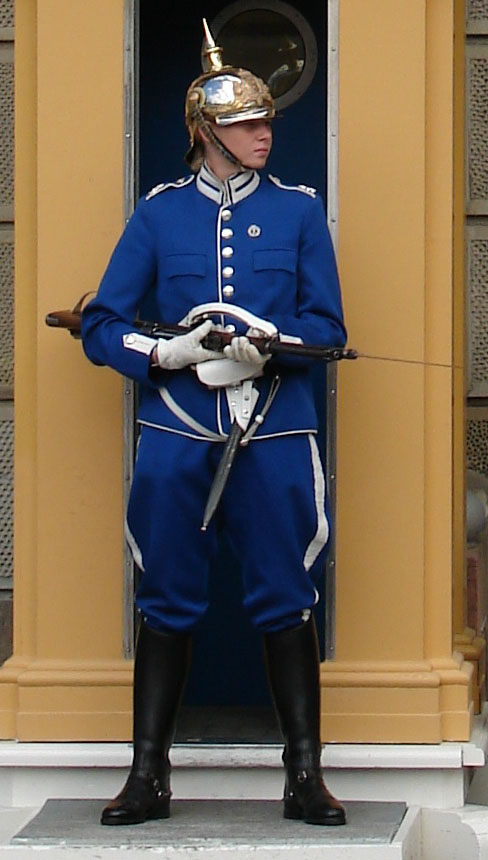 stockholm guards 17605-stockholm-guards.jpg
