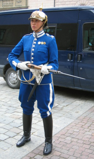 stockholm guards 17606-stockholm-guards.jpg