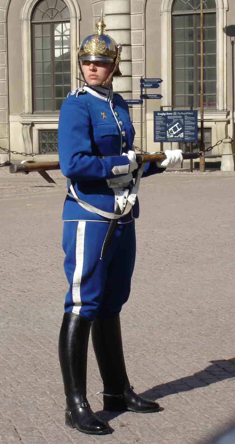 stockholm guards 17607-stockholm-guards.jpg