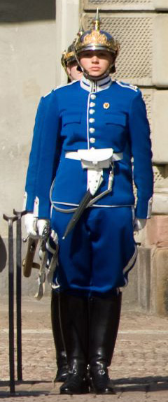 stockholm guards 17608-stockholm-guards.jpg