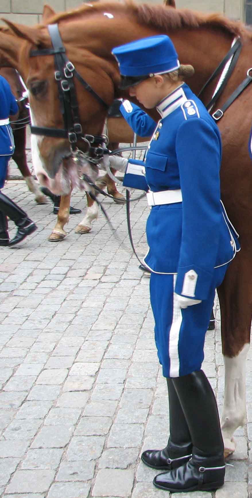 Re: stockholm guards 17610-re--stockholm-guards.jpg