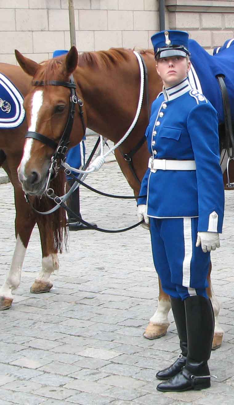 Re: stockholm guards 17611-re--stockholm-guards.jpg