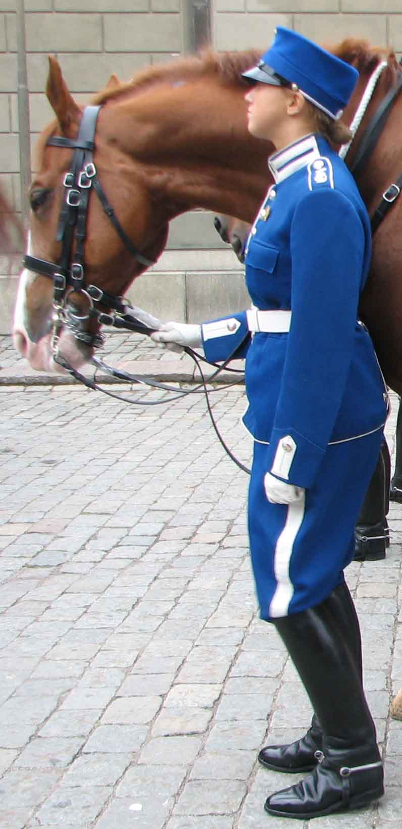 Re: stockholm guards 17613-re--stockholm-guards.jpg