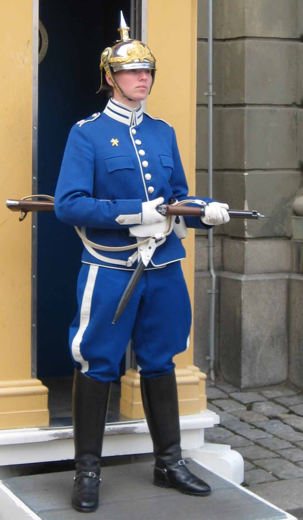 Re: stockholm guards 17615-re--stockholm-guards.jpg