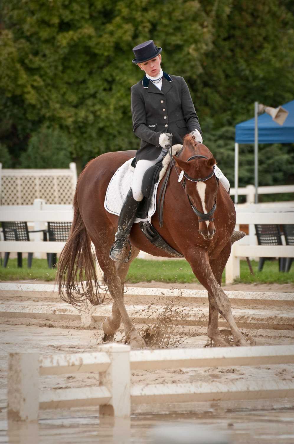 muddy dressage 17650-muddy-dressage.jpg