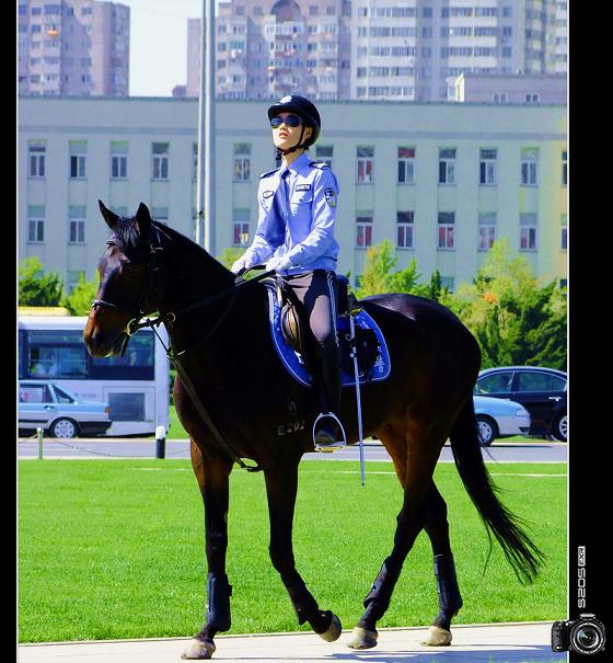 Re: mounted police women 17898-re--mounted-police-women.jpg