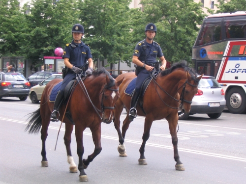 Stockholm mounted police 18386-stockholm-mounted-police.jpg