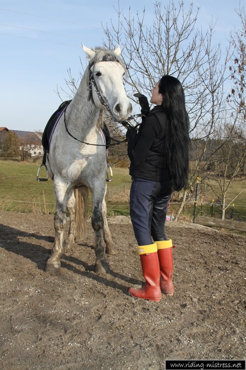 The Mistress and her horse with red hunters 18543-the-mistress-and-her-horse-with-red-hunters.jpg