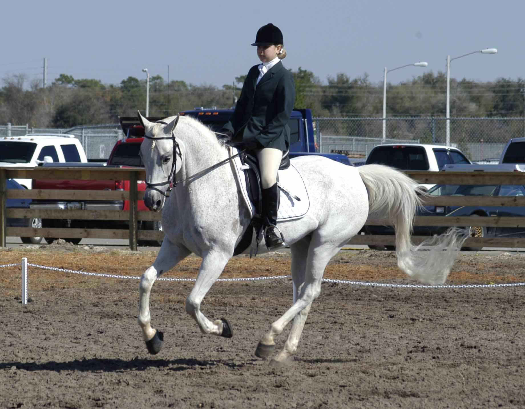 Equestrienne 19017-equestrienne.jpg