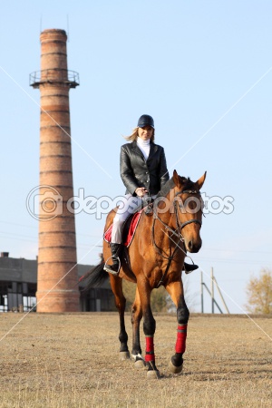 Girl jockey 19037-girl-jockey.jpg