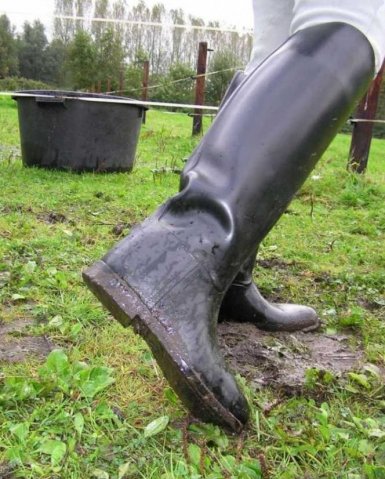 Re: Riding boots in mud 19372-re--riding-boots-in-mud.jpg