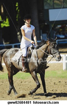 Riding boots image 19477-riding-boots-image.jpg