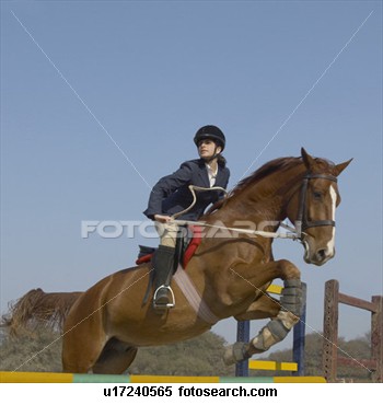 Riding boots image 19480-riding-boots-image.jpg