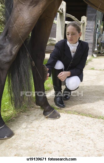 Checking the horse 19496-checking-the-horse.jpg