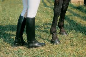 Re: rubber ridingboots 19606-re--rubber-ridingboots.jpg