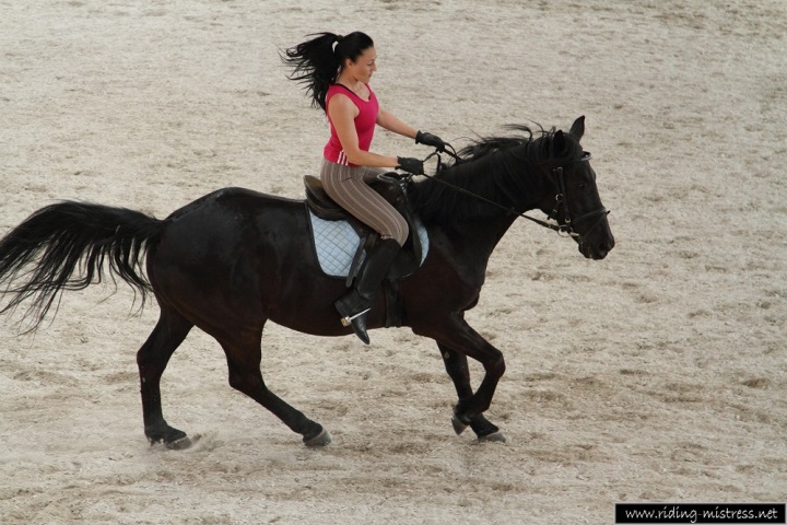 The Mistress on her horse Profi 19762-the-mistress-on-her-horse-profi.jpg