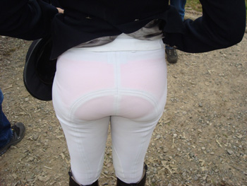 Re: Rear of the Year 20107-re--rear-of-the-year.jpg