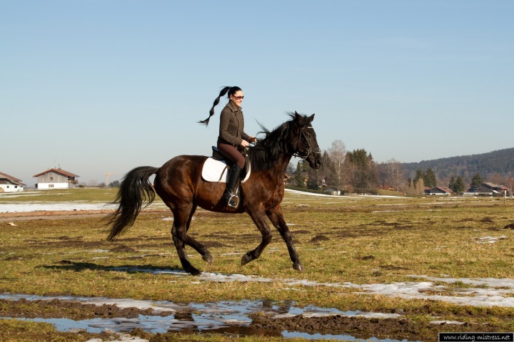 Ausritt im Schnee 20116-ausritt-im-schnee.jpg