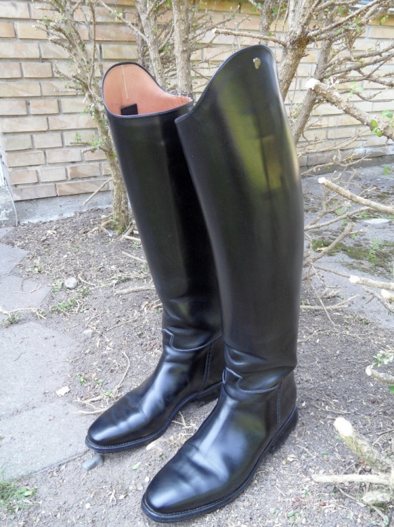 Re: Petrie Elegance Patent Leather Riding Boots. 20400-re--petrie-elegance-patent-leather-riding-boots-.jpg