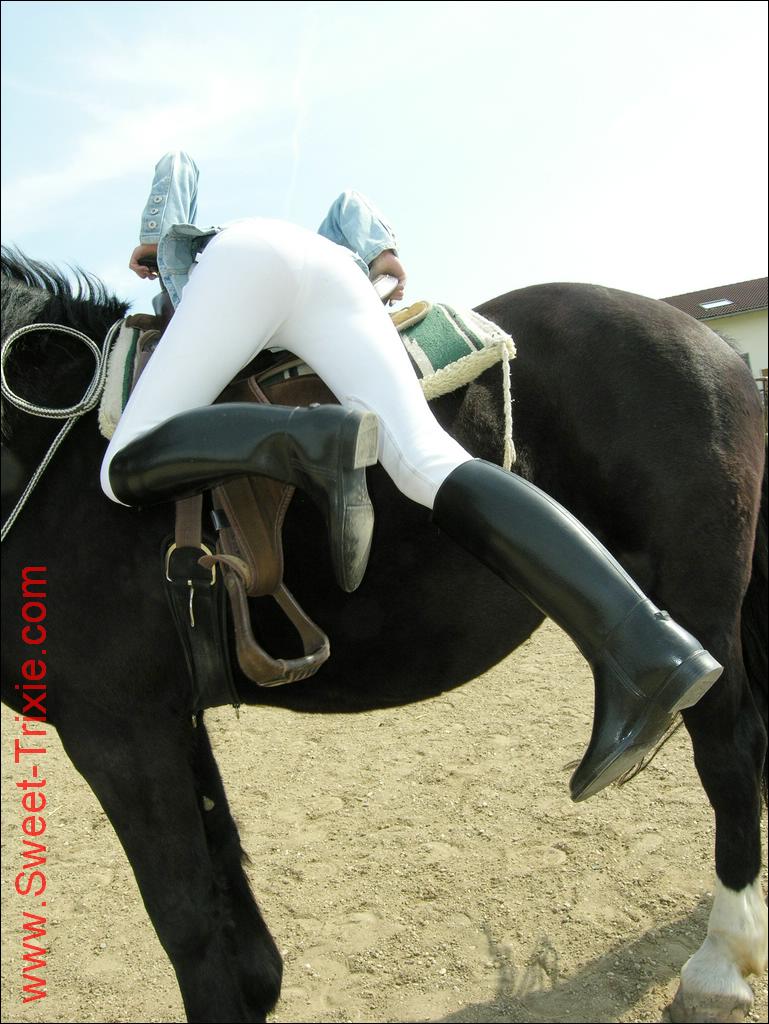 Dismounting Her Horse 20616-dismounting-her-horse.jpg