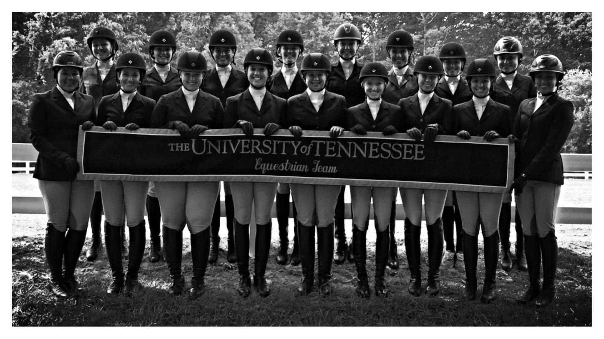 Re: university equestrian teams 21431-re--university-equestrian-teams.jpg